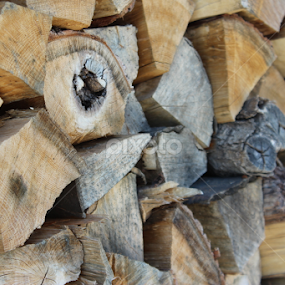 Wood pile by Alin Dorobantu - Artistic Objects Still Life