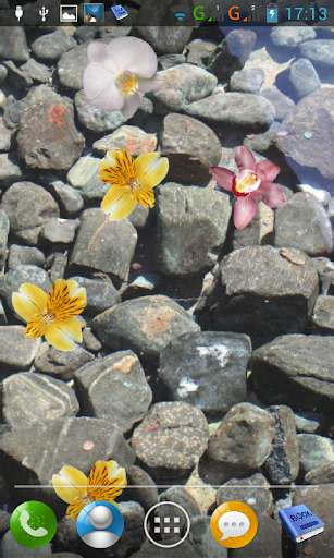 Floating orchids