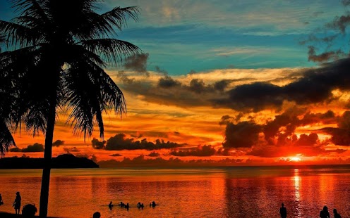 Download Sunset Palm Trees APK