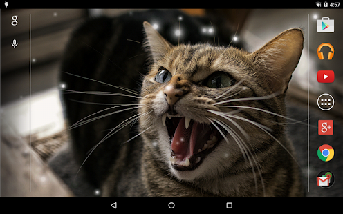 Angry Cat Live Wallpaper Screenshots 4
