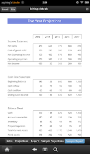 5 year Cash Flow Projection Screenshots 3