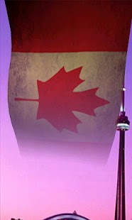 Flags of North America 3D Free Screenshots 5