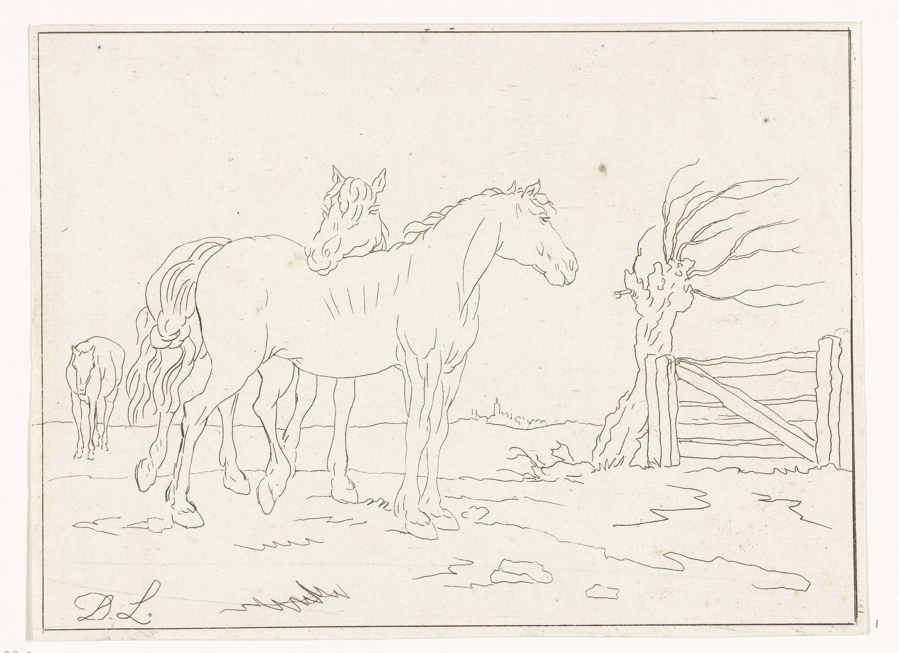Paarden