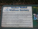 Winnie's Wildflower Sanctuary