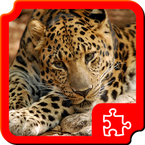 Big cats Puzzles for PC and MAC