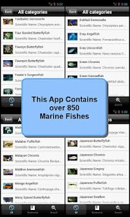 【免費教育App】Marine Fish Encyclopedia-APP點子