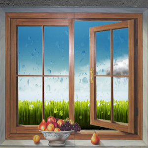 Meteo finestra for zooper pro.apk 1.01