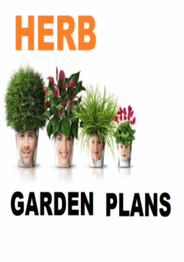 The Herb Garden Tips