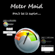 Meter Maid