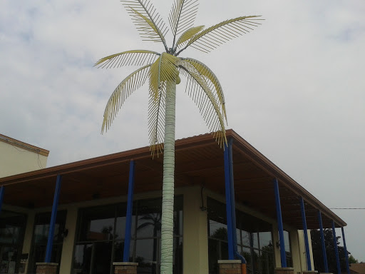 Green Palm Tree Karoun