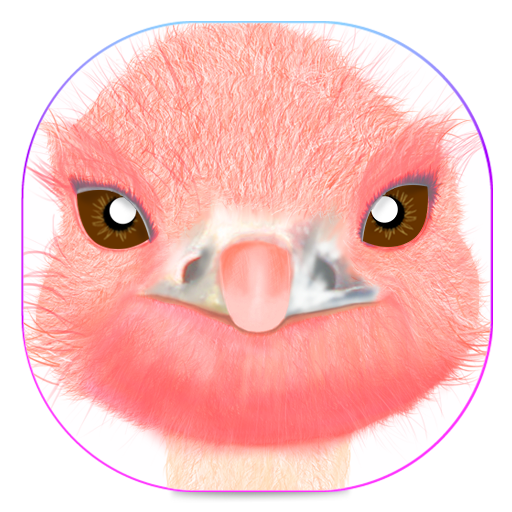 Cute Ostrich Keyboard LOGO-APP點子