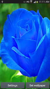 How to install Rose Live Wallpapers 1.0.3 mod apk for laptop