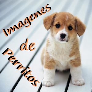 Imagenes de perritos 1.10.0