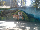 Single Tiger Wall Art