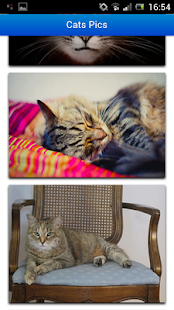 How to mod Cats Pics lastet apk for bluestacks