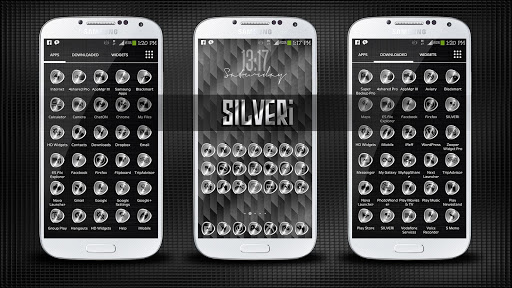 SILVERi Icons Theme