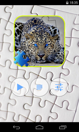 Leopard Jigsaw Puzzle