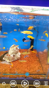 Folder Video Player PRO v1.1.9