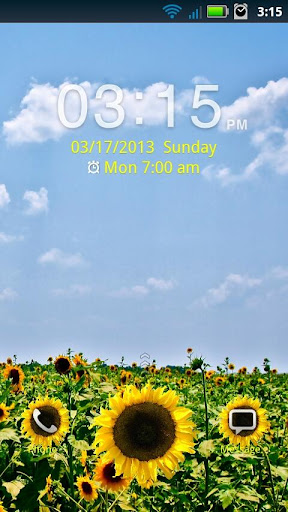 SUNFLOWER GO LOCKER THEME