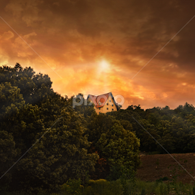 Ifrane by Moussa Idrissi - Landscapes Forests