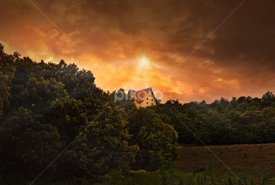 Ifrane by Moussa Idrissi - Landscapes Forests