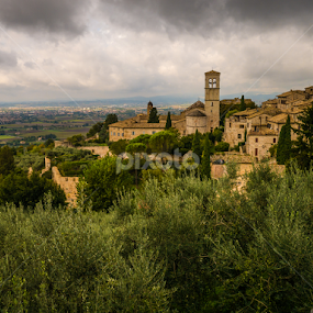 Assisi by Daniel Douriet - City,  Street & Park Skylines