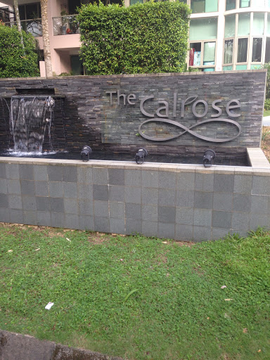 The Calrose Water Fountain
