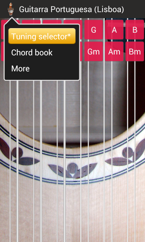 Portuguese Guitar - Coimbra Screen 2