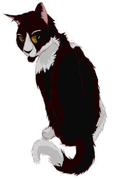 Practice 