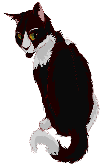 Practice 