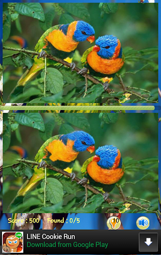 【免費解謎App】Bird Find Differences-APP點子