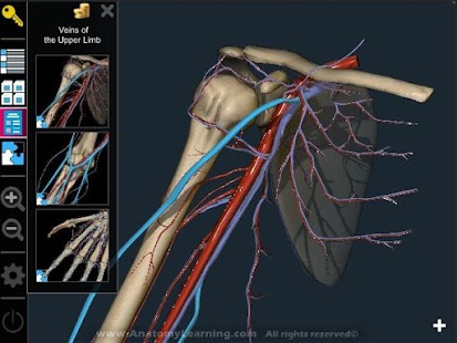  Anatomy Learning - 3D Atlas: miniatura de captura de pantalla  