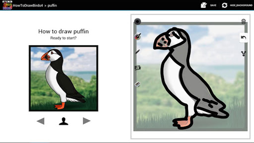 HowToDraw Birds4