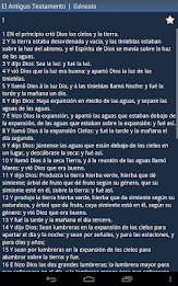 Spanish Holy Bible poster 13