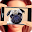 What dog am I? Download on Windows