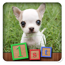 1st Games Kids Puppy Puzzles mobile app icon