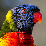 by Renos Hadjikyriacou -  