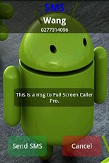 Full Screen Caller Pro