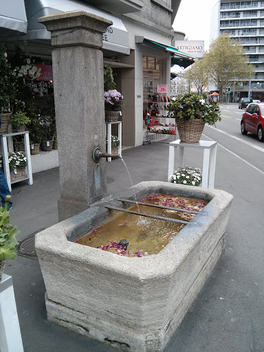 Fountain Birmensdorferstrasse