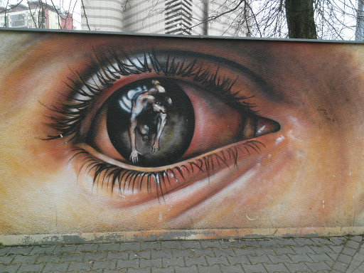 A Woman in the Eye