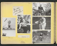 Diverse afbeeldingen