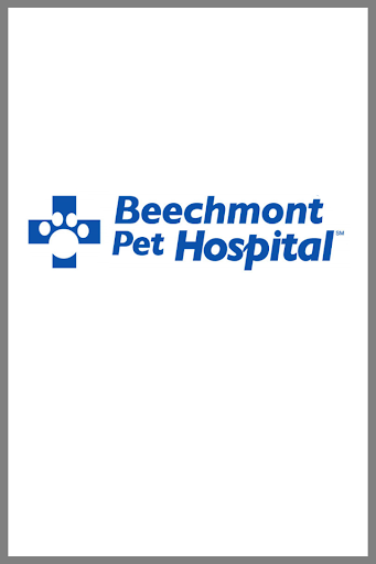 Beechmont Pet