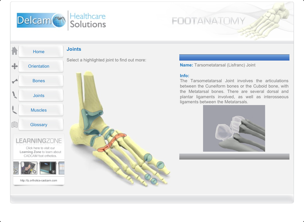    Foot Anatomy- screenshot  