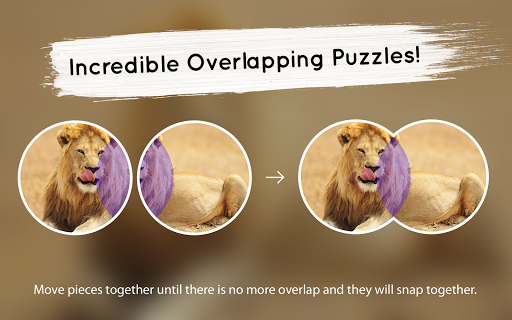 【免費解謎App】Venn Lions: Circle Jigsaw-APP點子