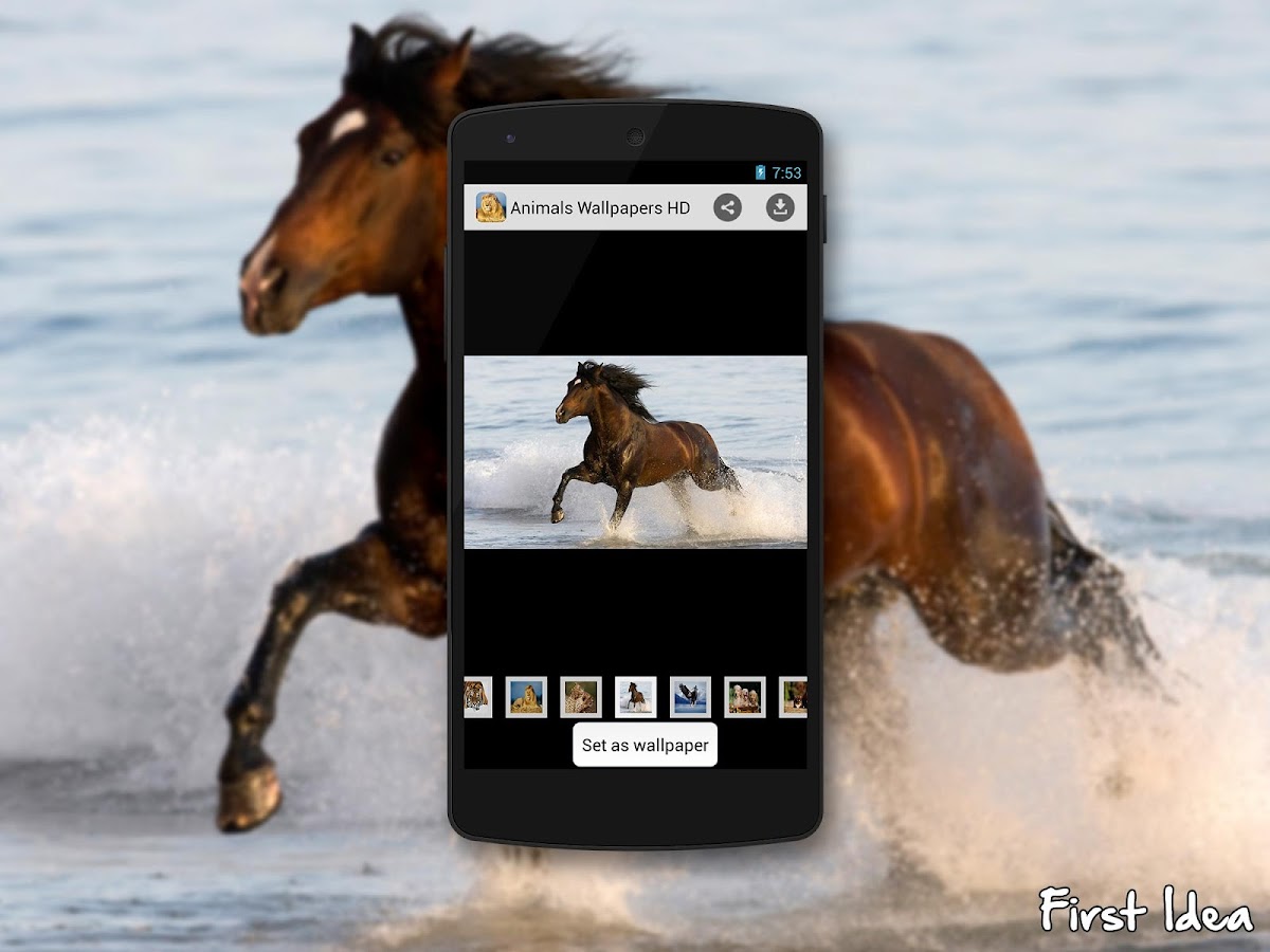Hewan Wallpaper HD Apl Android Di Google Play