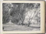 Gezicht in de Sennah Allee met Sociëteit Klambir, Langkat Sumatra