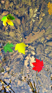 Toddler Game Water Ripple Leaf Screenshots 4