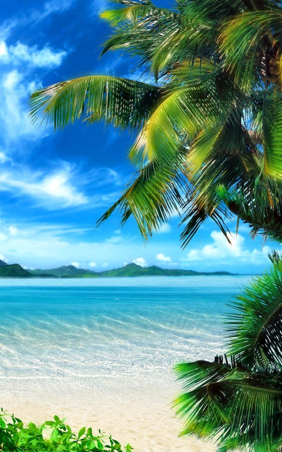 Tropical Beach Live Wallpaper- screenshot