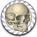Speed Bones MD icon