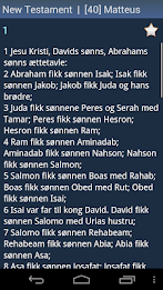 Norwegian Holy Bible poster 5